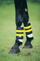 Deluxe Legbands